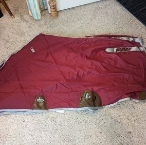 Arab/Cob Horse Show Sheet